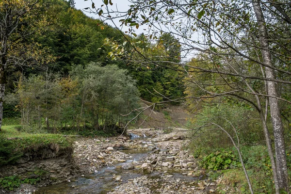 Montanhas Cárpatas. Cárpatos. Ucrânia . — Fotografia de Stock