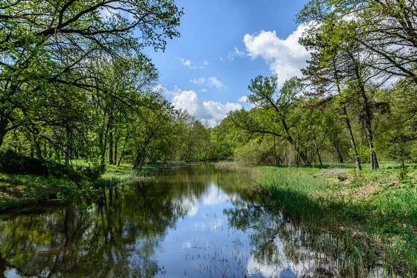 Primavera, parque. Arboretums Forest Centre Veseli Bokovenky, Ucrânia . — Fotografia de Stock