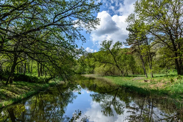 Весна, парк. Арборетумский лесной центр Весели Боковенки, Украина . — стоковое фото