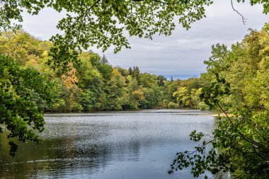 Sonbahar park. Botanik Bahçesi.