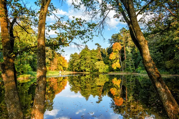 Sonbahar park. Botanik Bahçesi.