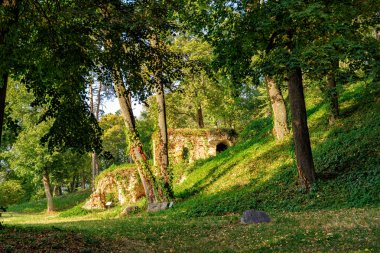 Sonbahar park. Kachanivka, Ukrayna.