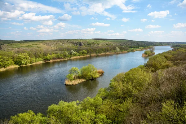 Bug du sud de la rivière. Ukraine. — Photo