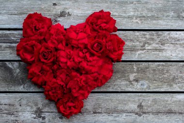 Kalp kırmızı gül. Kırmızı gül.