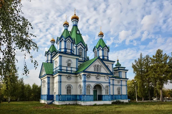 Iglesia de la Asunción. Sylchenkove, óblast de Chernihivs 'ka, Ukr — Foto de Stock