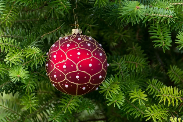 Bola vermelha de Natal na árvore de Natal. Brinquedo de Ano Novo . — Fotografia de Stock