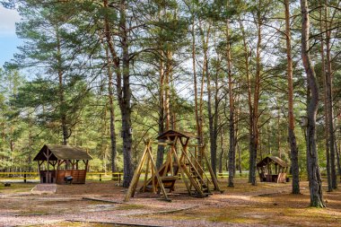 Yolun yakınındaki ormanda oyun parkı olan bir dinlenme alanı. Sonbahar çam ormanı manzarası. Kozalaklı ormanlık. Dinlenme bölgesi.