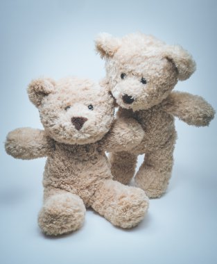 şirin oyuncak ayılar