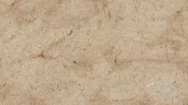 Herhangi bir projeye derinlik katan modern beyaz fırça darbesi dokusu. İnce bir sanatsal dokunuş ya da ağ ya da baskı için eşsiz bir arkaplan eklemek için mükemmel.