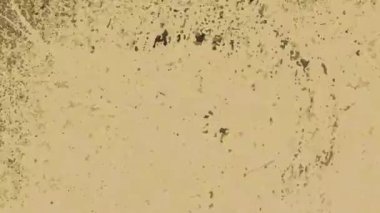 Herhangi bir projeye derinlik katan modern beyaz fırça darbesi dokusu. İnce bir sanatsal dokunuş ya da ağ ya da baskı için eşsiz bir arkaplan eklemek için mükemmel.