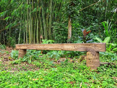 Çimenli yeşil bahçe arka planında ahşap bir bank..