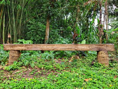 Çimenli yeşil bahçe arka planında ahşap bir bank..