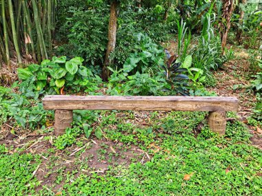 Çimenli yeşil bahçe arka planında ahşap bir bank..