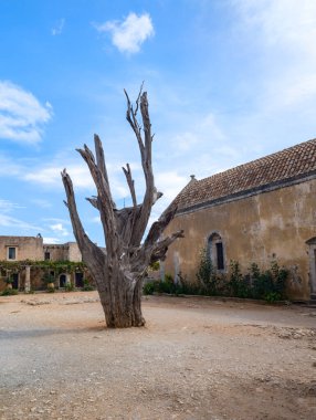 Yunan adasındaki Arkadiou Manastırı 'nın içindeki meşhur kurşun ağacının görüntüsü.