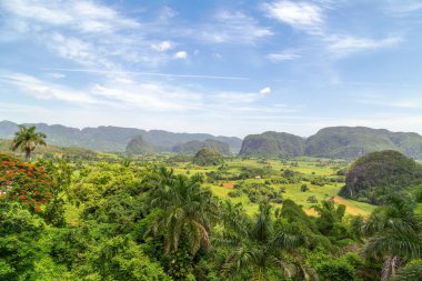 Yemyeşil Tütün Vadisi Doğu Küba 'da Yeşil Karst Manzarası