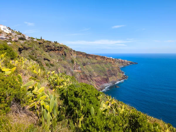 Miradouro do Cristo Rei 'deki Kıyı Kayalıkları ve Kaktüs Peyzajı (Canio, Madeira, Portekiz)