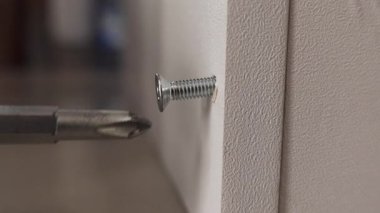 Elektrikli matkap kullanılarak kontrplak tahtasına bağlanan kendi kendine dokunan vida, DIY inşaatını, ahşap işçiliğini ve ev geliştirme sürecini gösteriyor.