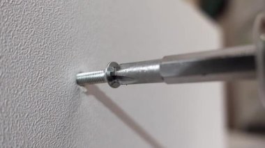 Elektrikli matkap kontraplağa vida takıyor, marangozluk işi, DIY projeleri ve ev yenileme konseptini gösteriyor.