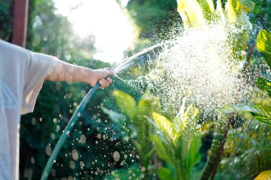 A hand holds a spray nozzle, watering plants in a garden.