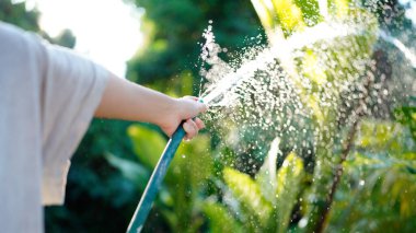 A hand holds a spray nozzle, watering plants in a garden.