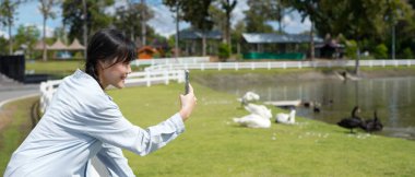 Bir kadın gölün kenarında bir grup kuğunun fotoğrafını çekiyor. Sahne huzurlu ve huzurlu, bir kadın doğal ortamlarında kuşların güzelliklerini yakalıyor..