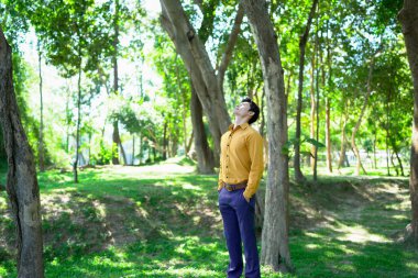 Genç Asyalı bir adam parkta gözleri kapalı dinleniyor. Huzurlu bir adam doğanın tadını çıkarıyor ve dikkat çekmek ve stres atmak için temiz hava soluyor...