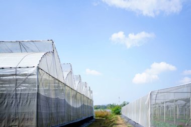 seranın dış cephesi açık mavi gökyüzü.