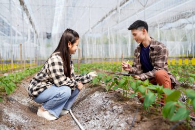 Bahçe merkezinde çalışan genç bir adam ve genç bir kadın dijital tablete bakıyor. İki bahçıvan fabrika stoklarını dijital tabletle kontrol ediyor...
