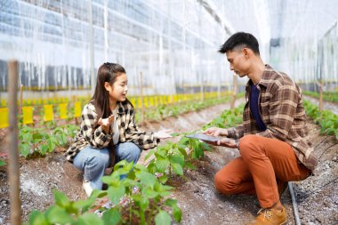 Bahçe merkezinde çalışan genç bir adam ve genç bir kadın dijital tablete bakıyor. İki bahçıvan fabrika stoklarını dijital tabletle kontrol ediyor...
