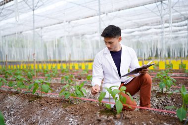Tarım Araştırmacısı Bitki Yetiştirme Gözlemleri Bir Seradaki Pano Üzerinde..
