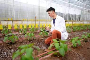 Tarım Araştırmacısı Bitki Yetiştirme Gözlemleri Bir Seradaki Pano Üzerinde..