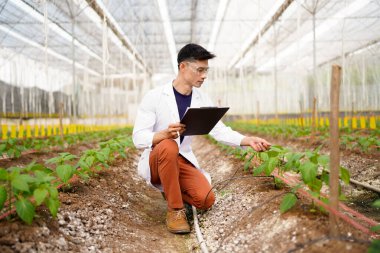 Tarım Araştırmacısı Bitki Yetiştirme Gözlemleri Bir Seradaki Pano Üzerinde..