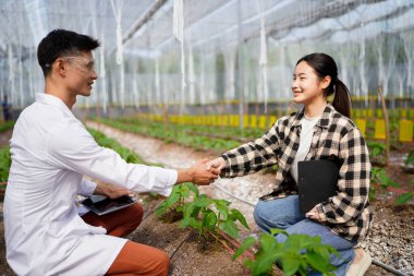 Tarım müfettişinin elini sıkan kadın sera çalışanı, işbirliği.