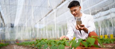 Araştırmacı tarımsal uygulamaları geliştirmek ve sürdürülebilir tarımı desteklemek amacıyla bir bitki yetiştirme alanında toprak analizi yürütüyor..