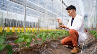 Araştırmacı tarımsal uygulamaları geliştirmek ve sürdürülebilir tarımı desteklemek amacıyla bir bitki yetiştirme alanında toprak analizi yürütüyor..