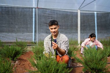 Biberiye tarlasında birlikte çalışan mutlu çiftçiler. Tarım sektörü kavramı.