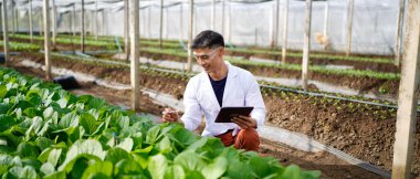 Tarım müteahhidi yakışıklı adam tablet bilgisayarda sera çiftliğinin gelişmiş kimyasal denetimi için farklı uygulamalar deniyor. Organik tarım. Yeşiller..