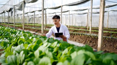 Tarım müteahhidi yakışıklı adam tablet bilgisayarda sera çiftliğinin gelişmiş kimyasal denetimi için farklı uygulamalar deniyor. Organik tarım. Yeşiller..