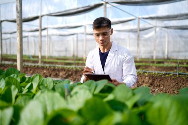 Tarım müteahhidi yakışıklı adam tablet bilgisayarda sera çiftliğinin gelişmiş kimyasal denetimi için farklı uygulamalar deniyor. Organik tarım. Yeşiller..