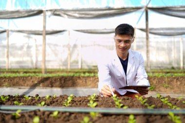 Tarım müteahhidi yakışıklı adam tablet bilgisayarda sera çiftliğinin gelişmiş kimyasal denetimi için farklı uygulamalar deniyor. Organik tarım. Yeşiller..
