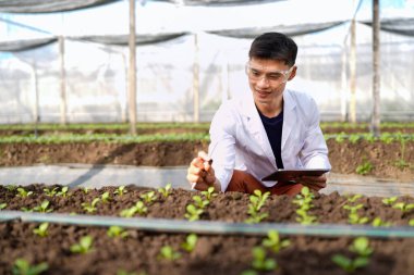 Tarım müteahhidi yakışıklı adam tablet bilgisayarda sera çiftliğinin gelişmiş kimyasal denetimi için farklı uygulamalar deniyor. Organik tarım. Yeşiller..