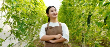 Seradaki sebze bahçesinin arka planında Asyalı genç bir kız..