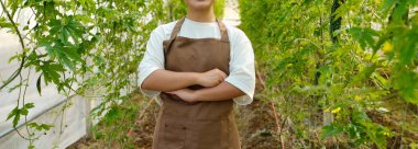 Seradaki sebze bahçesinin arka planında Asyalı genç bir kız..