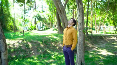 Genç Asyalı bir adam parkta gözleri kapalı dinleniyor. Huzurlu bir adam doğanın tadını çıkarıyor ve dikkat çekmek ve stres atmak için temiz hava soluyor...