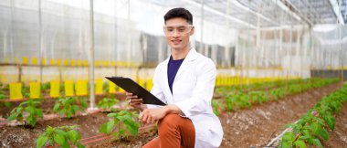 Bilim adamları seradaki organik sebzeleri tarımsal teknoloji kavramını inceliyor..