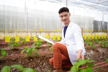 Bilim adamları seradaki organik sebzeleri tarımsal teknoloji kavramını inceliyor..