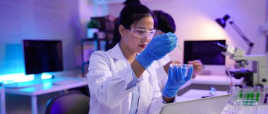 Bilim adamı petri kabına sıvı atmak için pipette kullanır. Bu bilim laboratuarı araştırması çığır açan tıbbi deneyler için test ve analiz içeriyor..