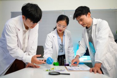 Profesyonel bir bilim adamı, eko cilt bakımı veya doğal kozmetik ürünlerinin verimli organik ürünlerinin bitkiler kullanılarak üretildiği laboratuvarda test, kayıt ve tartışmalar yapıyor..