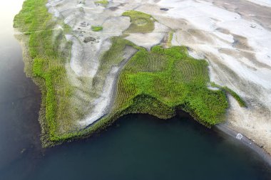 Aerial View Of Green Marsh Wetland Along Shallow Shoreline And Wate