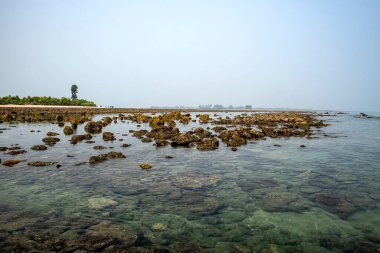 Rocky Beach Shoreline with Clear Water and Blue Sky